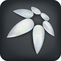 warp icon 200